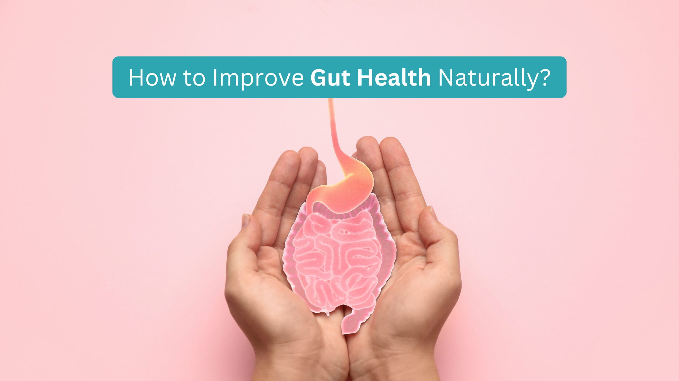 How to Improve Gut Health Naturally?